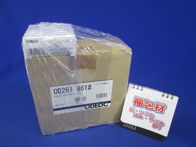 エクステリア LEDダウンライト S形 高演色 非調光 φ100 防雨型 昼白色 OD261861NR