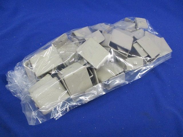 DP1用エンドキャップ(51個入) EC-1