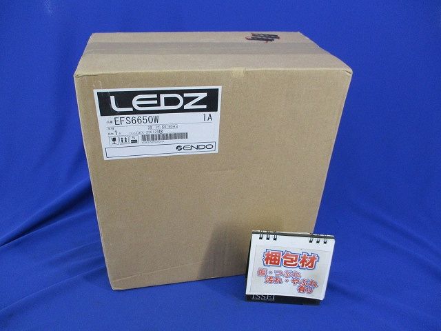 LEDスポットライト EFS6650W