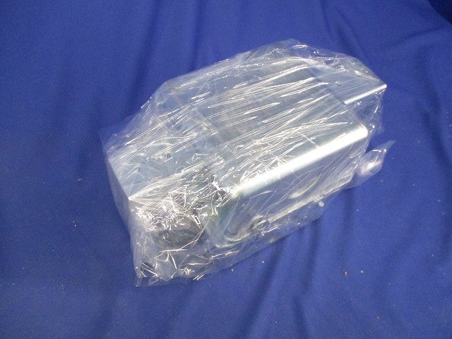 レースウェイ(ジャンクションボックス)2個入 DB2SN