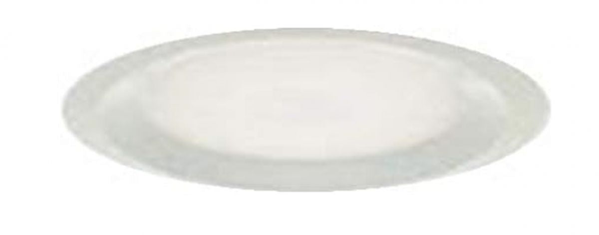 ダウンライト LED内蔵・交換不可 昼白色 非調光 φ100 DDL-5338WW