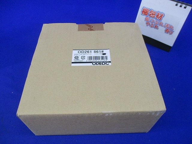 ポーチライトφ100(ランプ無) OD261861