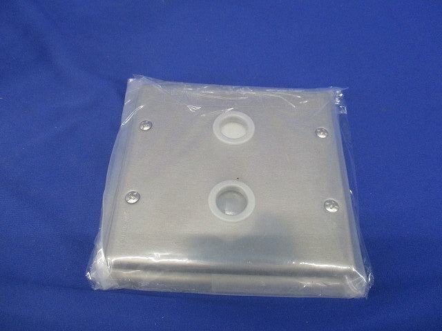 新金属大穴電話線プレート(取付枠付)2連(2枚入)(新品未開封)National WN7562