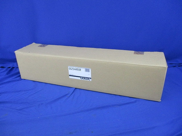 LEDエクステリアライト(昼白色) OG254493R