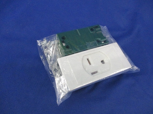 小型接地2P30A埋込コンセント(2個入) WTN3730