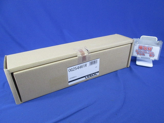 LEDポーチライト OG254461R