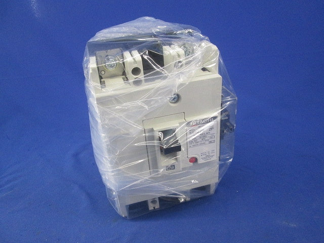 ヒューズフリー遮断器2P225A SXK225