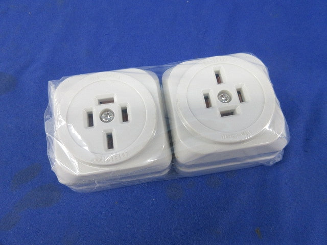 露出形接地極付コンセント(2個入) JE-4152