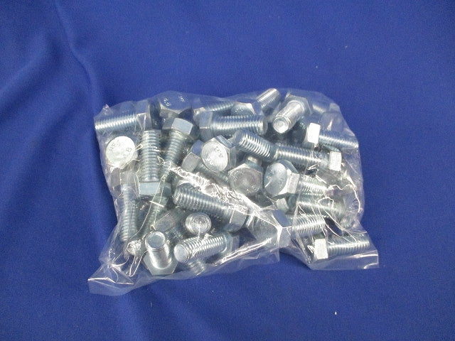 六角ボルトM12×30(47個入) M12×30