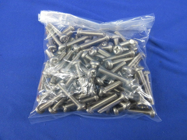 ステンレス ナベ頭小ねじ(84個入) M6×30