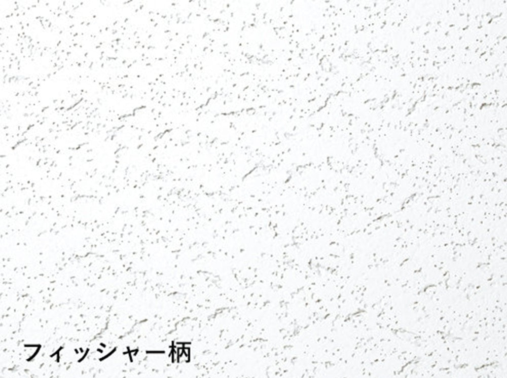 ソーラトン ロックウール化粧吸音板 平板9mm 300×600 フィッシャー柄 18枚入 ST9-S-600