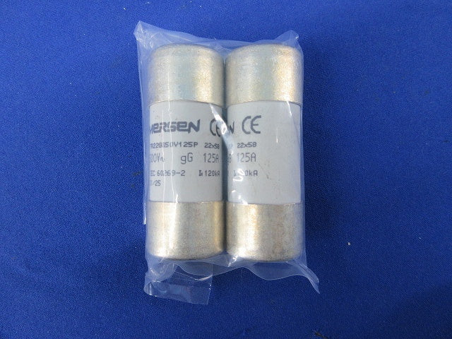 SPD外部分離器用指定ヒューズ125A(2個入) FR22GG50V125P