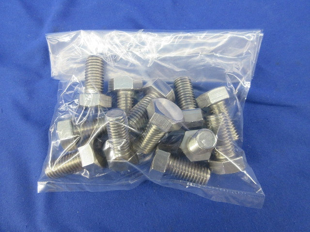 ステンレスボルト(12個入) 12×25