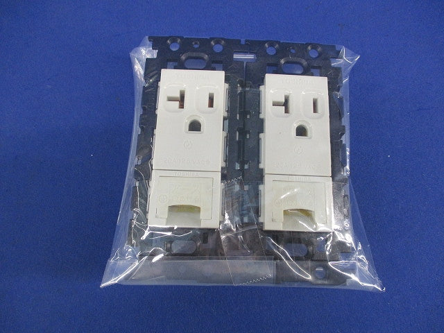 接地コンセント(2個入) NDG2481EN