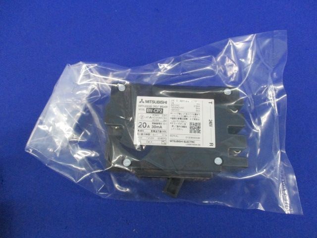 漏電ブレーカ2P2E20A 30mA BV-CP2