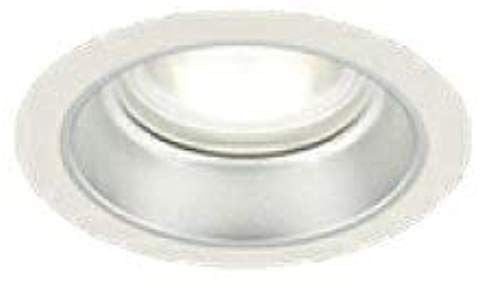 1000ユニット交換形DL一般形 インテリア器具 LEKD103003N-LS9