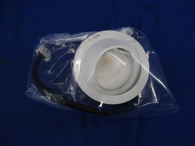 LEDダウンライト Panasonic NTS71241S