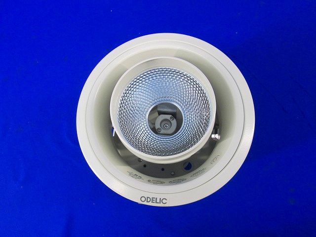 白熱灯ポーチライトφ125 ODELIC OD058054