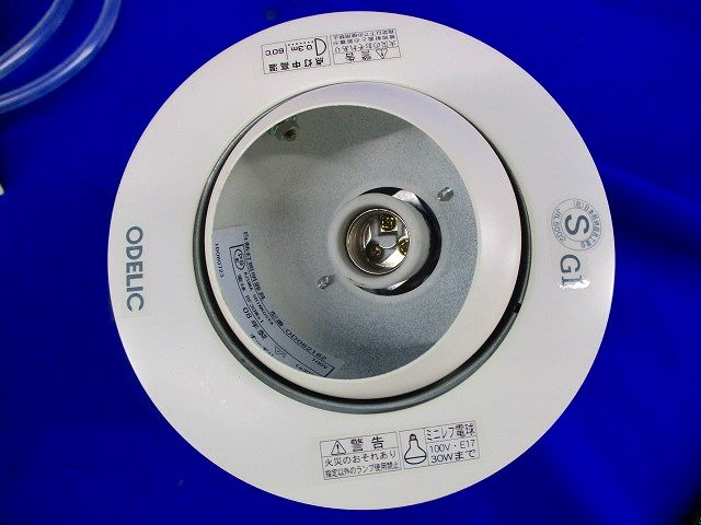 白熱灯照明器具 OD062162