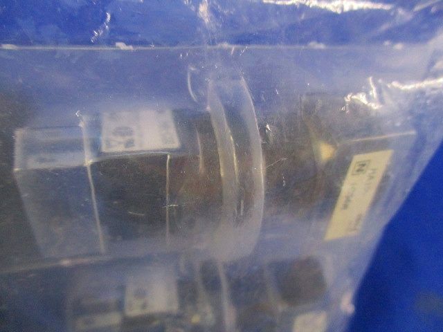 小型 表示灯(2個入) HA1P-1C04W