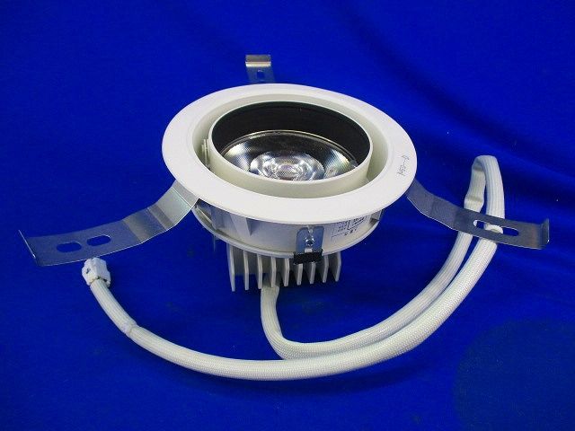 LEDダウンライトφ125 LEDD-30038FF