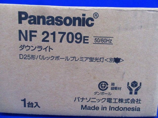 ダウンライトφ125 (ランプ無)(傷・汚れ有) NF21709E