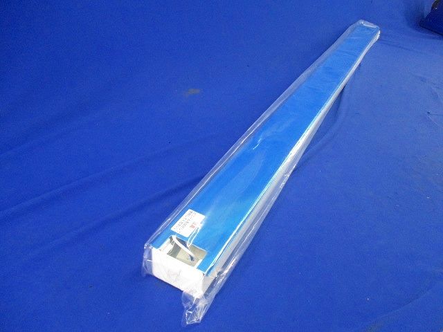 シルバー蛍光灯器具 殺菌灯用(2個入) EWC-40100AB1-P