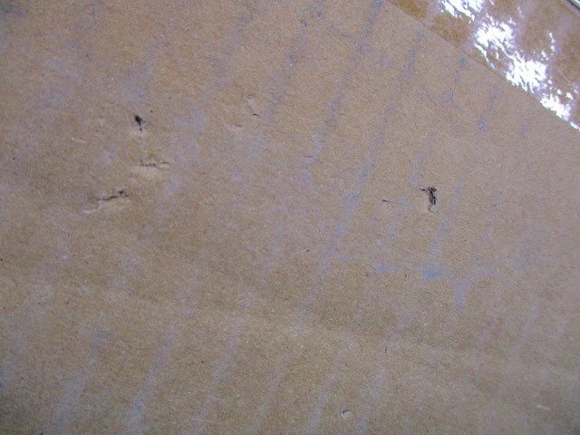おめかし マルスリーブ(10組入) OMS75