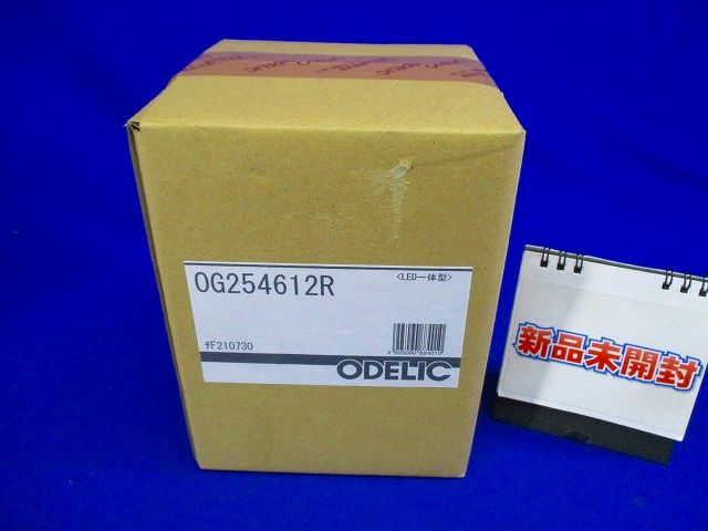 エクステリアライト ポーチライト 直付 電球色 LED一体型 OG254612R