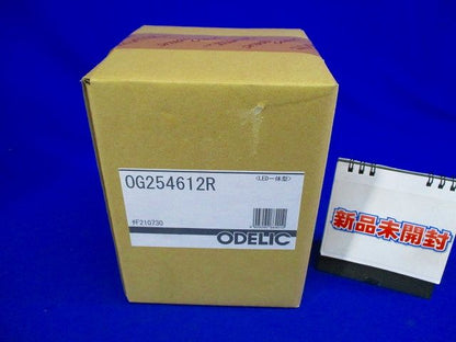 エクステリアライト ポーチライト 直付 電球色 LED一体型 OG254612R