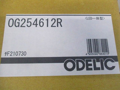 エクステリアライト ポーチライト 直付 電球色 LED一体型 OG254612R