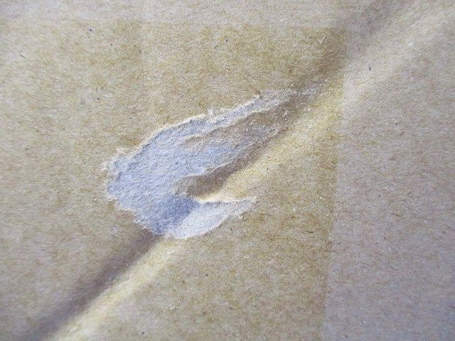 LEDダウンライト COBタイプ 調光 電球色 大黒ハロゲン65W 埋込穴φ125 DDL-4440YW