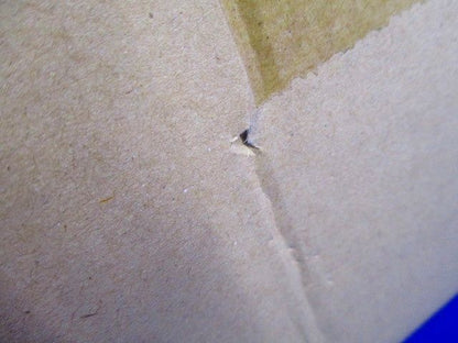 ダウンライト DL100・150形 φ55 Gレス 電球色 LED内蔵,電源ユニット別売 NYY75042