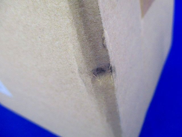 ダウンライト DL100・150形 φ55 Gレス 電球色 LED内蔵,電源ユニット別売 NYY75042