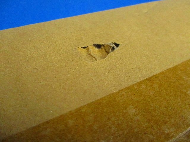 ベースライト LED LDL40×1 ウォール台形 枠なし ランプ別売 電源ユニット内蔵 NNF41825LE9