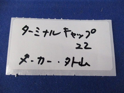 ターミナルキャップ(2個入)(亜鉛) 22