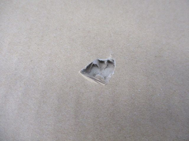 一体型LEDベースライト 直付型 ステンレス 3200lm 昼白色 非調光 ランプ付 XLW433AENKLE9