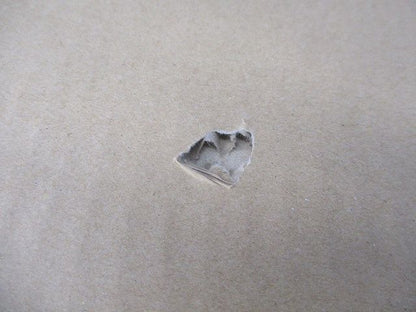 一体型LEDベースライト 直付型 ステンレス 3200lm 昼白色 非調光 ランプ付 XLW433AENKLE9