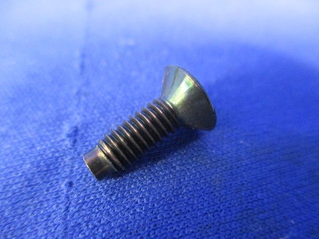 日本間用ビス 皿 (+)(120個入×10計1200個入)(ブラック) M4