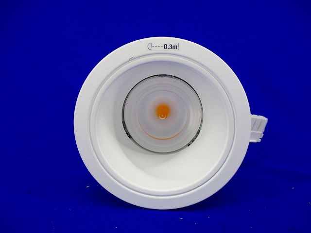 LEDダウンライトφ100(電球色) NDN27318W