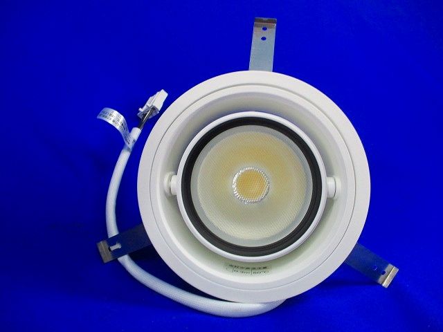 LEDユニバーサルダウンンライトφ125 XD91583L