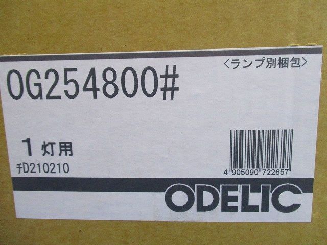 LEDポーチライト 防雨型 防水パッキンレスタイプ 白熱灯60W相当 電球色 調光不可 OG254800LD