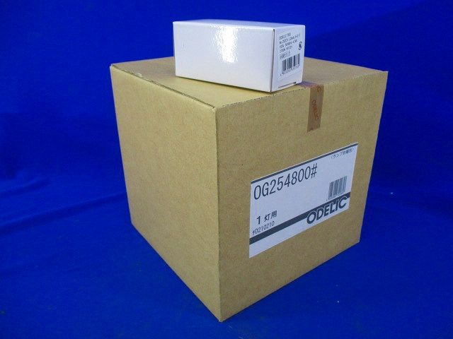 LEDポーチライト 防雨型 防水パッキンレスタイプ 白熱灯60W相当 電球色 調光不可 OG254800LD