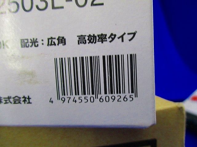 LEDダウンライト 軒下用 埋込穴φ100 非調光 電球色 電源ユニット内臓 LEKD253913L-LS9