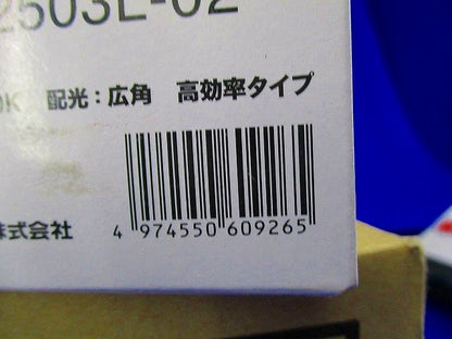 LEDダウンライト 軒下用 埋込穴φ100 非調光 電球色 電源ユニット内臓 LEKD253913L-LS9