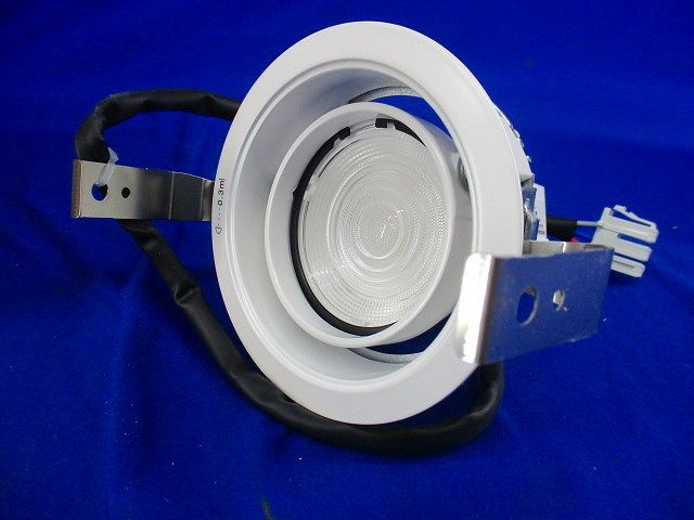 LEDダウンライトφ100 NNN62721W