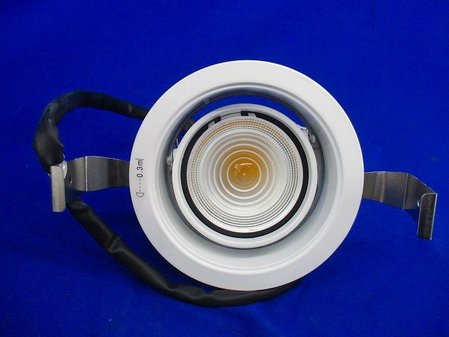 LEDダウンライトφ100 NNN62721W