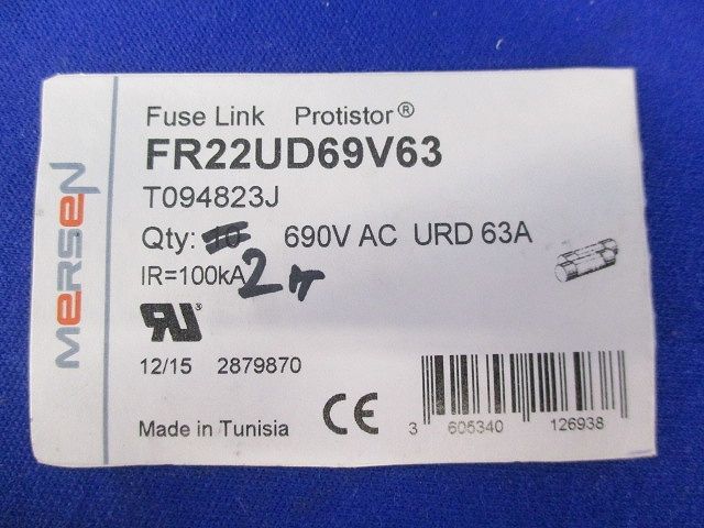 ヒューズ(2個入) FR22UD69V63