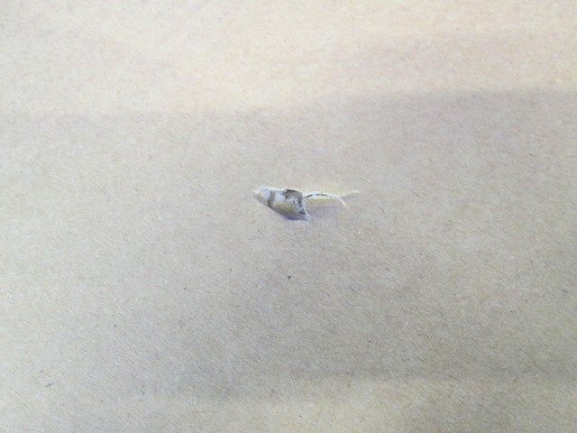 天井埋込換気扇用ルーバー24タイプ用・フルフラットタイプ ホワイト FY-24L26