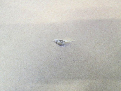 天井埋込換気扇用ルーバー24タイプ用・フルフラットタイプ ホワイト FY-24L26